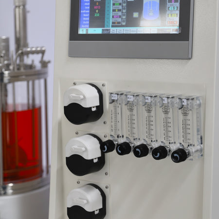 2L Benchtop Bioreactor for Microbial Fermentation with 2 Gas Inlets BR100-C1