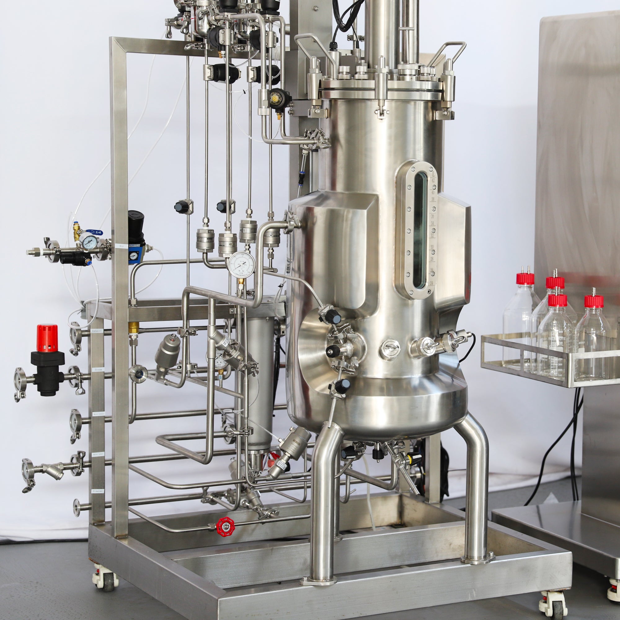 300L Stainless Steel Bioreactor for Microbial and Cell Culture BR500-C1